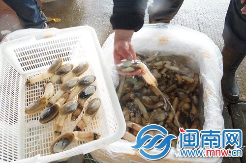 福建2015年打造“海丝”核心区　对东盟大有裨益